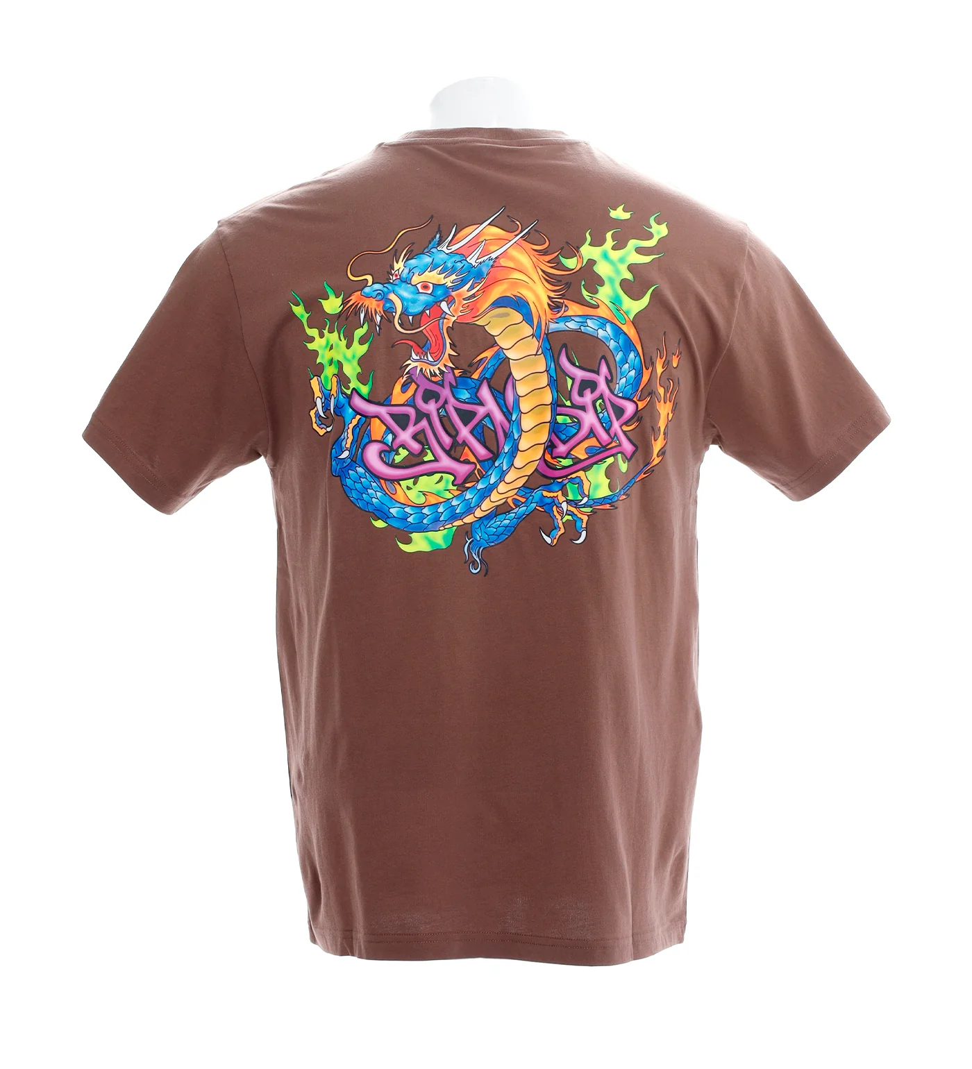 Dragonology, Dark Brown - Image 2