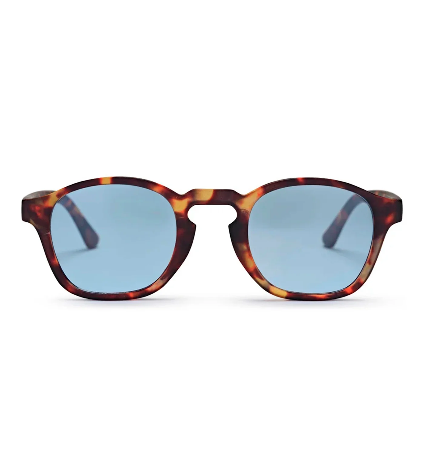 Gee, Turtle Brown/Blue