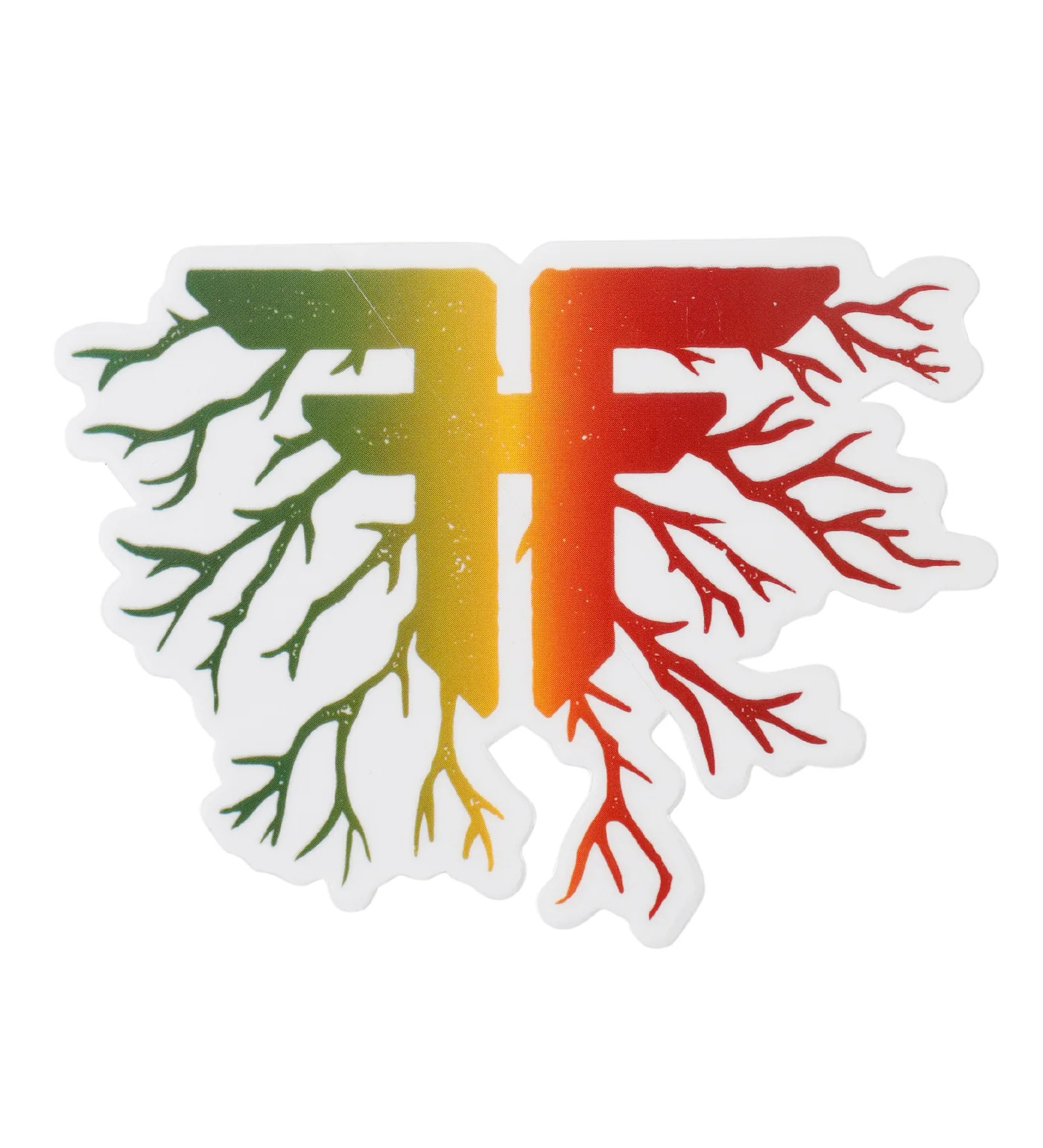 Roots, Green/Yellow/Red/Transparent